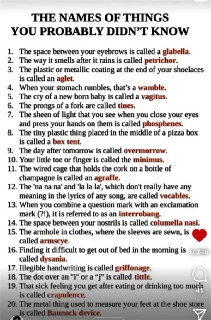 7 Things You Probably Didn’t Know About Rhyno WWE