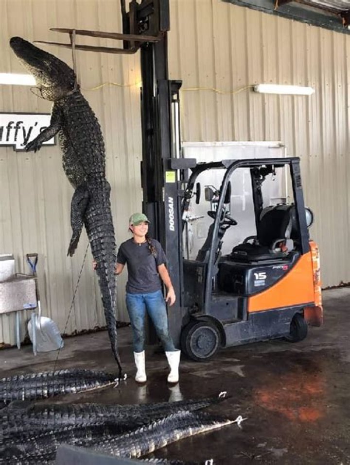 Ava Jerome Height, Weight, Net Worth, Age, Birthday, Wikipedia, Who, Nationality, Biography