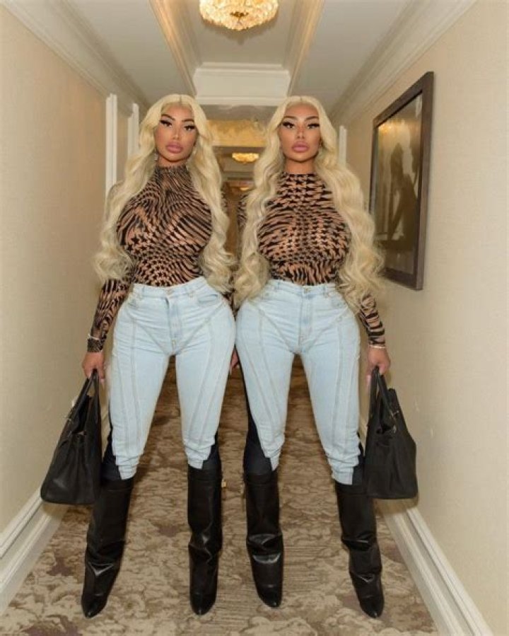 Clermont Twins Before and After Plastic Surgery: Everything On Their Parents And Age Now