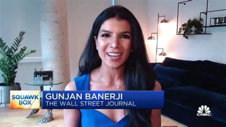 CNBC: Gunjan Banerji Wikipedia and Age, Salary Boyfriend and Ethnicity Revealed