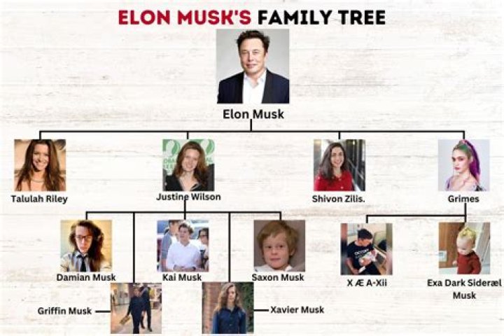 Damian Musk (Elon Musk’s Son) Bio, Wiki, Age, Height, Family and Net Worth.