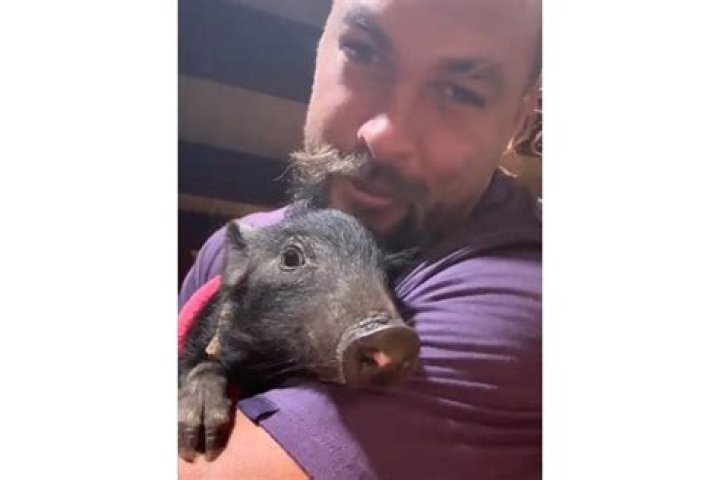 
Jason Momoa Brings Home a Pig After Filming ‘Slumberland’ : ‘This Is Why I Can’t Work with Animals’ 
