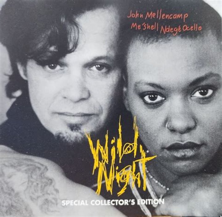 John Mellencamp ft. Me’Shell Ndegéocello’s
Wild Night Lyrics