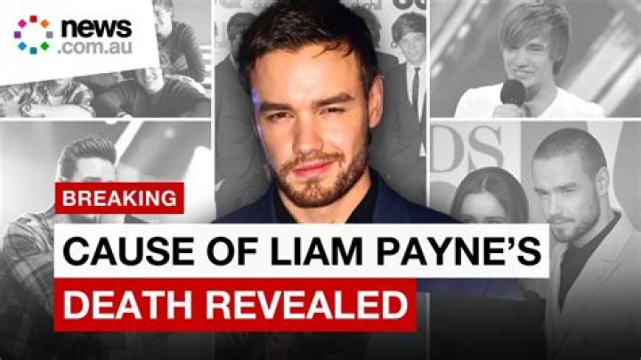 Liam Payne Net Worth: Details About Cars, Biography, Assets, Income - SarkariResult