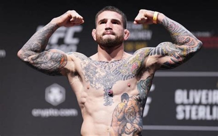 Luke Brady Net Worth