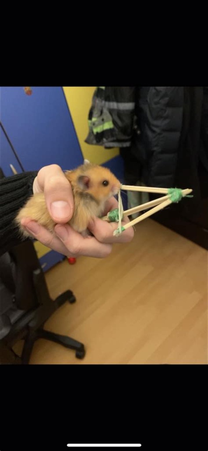 RATIRL Face Revealed: Who Is RATIRL On Twitch?