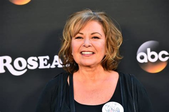Roseanne Barr Net Worth: Details About Movie, Income, Age, Home, Career - SarkariResult