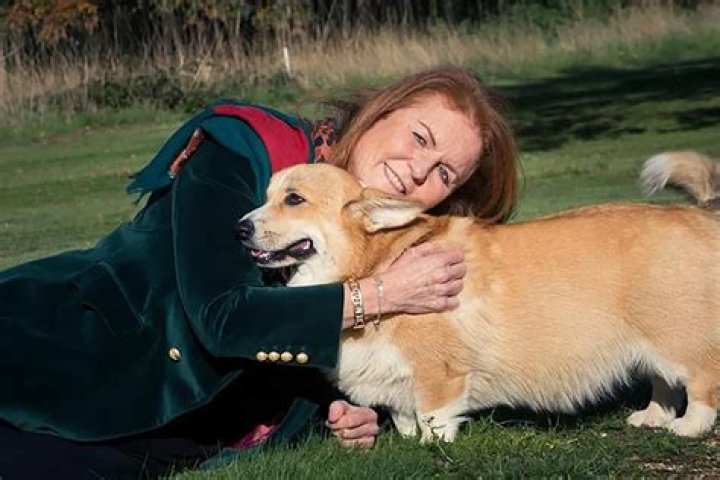 
Sarah Ferguson Says Queen Elizabeth’s Corgis ‘Balance Out’ with Her Other Dogs: ‘A Big Honor’ 