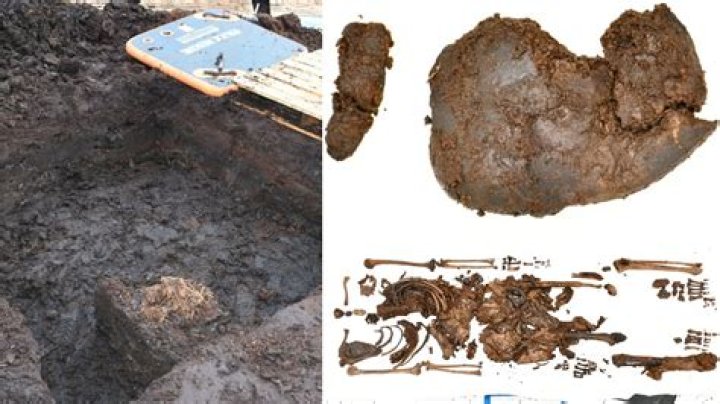 
What happened to Christopher Story? Skeletal remains of Pennsylvania man found after 10 years after disappearance 