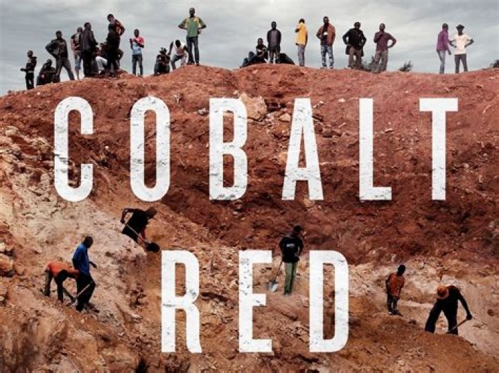 Who is Siddharth Kara? Joe Rogan cobalt mining revelation sparks global concern